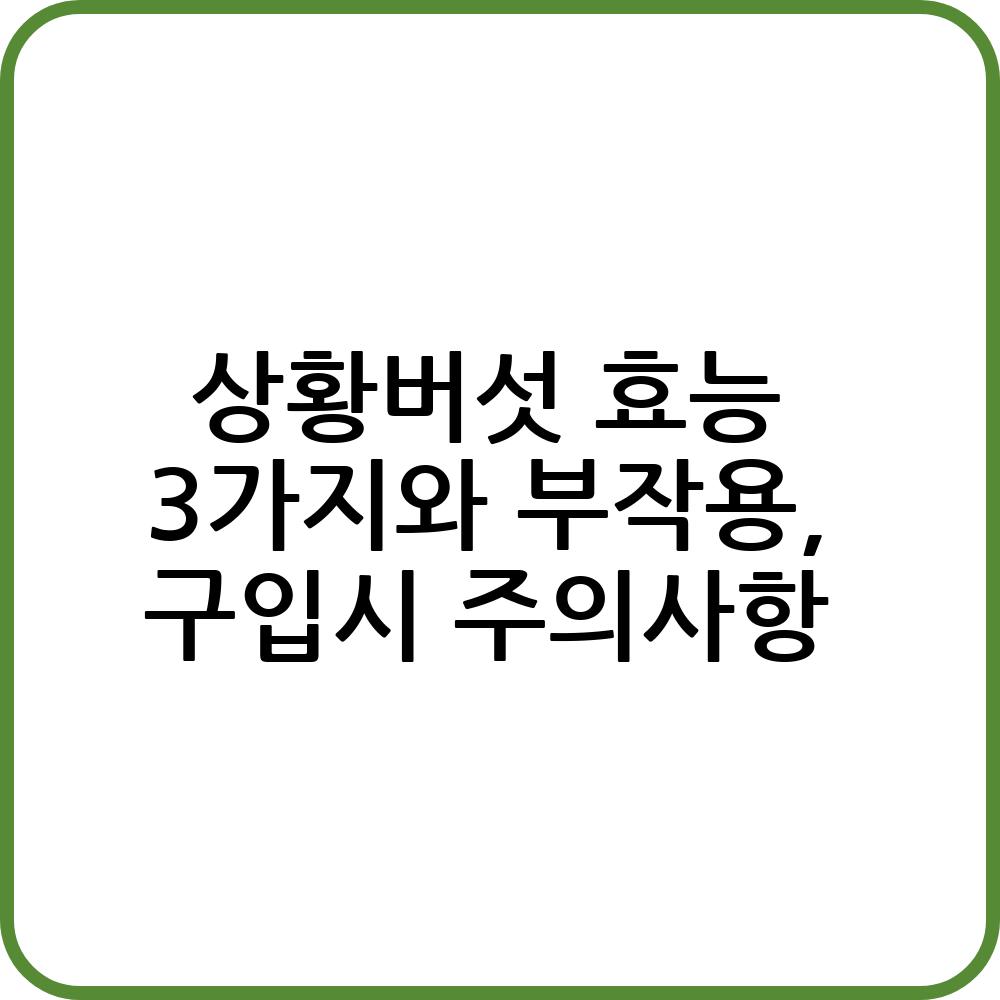 상황버섯 효능 3가지와 부작용, 구입시 주의사항 - 오늘의 건강 정보