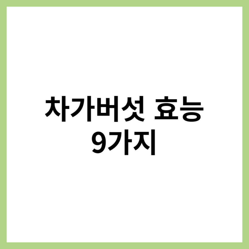 차가버섯 효능 및 부작용
