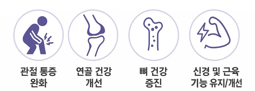 호관원 주요 성분 MSM, 해조칼슘, 칼슘의 관절 통증 완화, 연골 건강, 뼈 건강, 신경 기능 관련 핵심 효능 인포그래픽