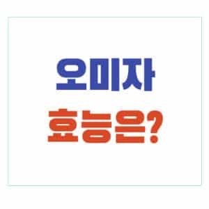 오미자차 고르는 법