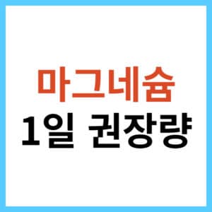 마그네슘 1일 권장 섭취량