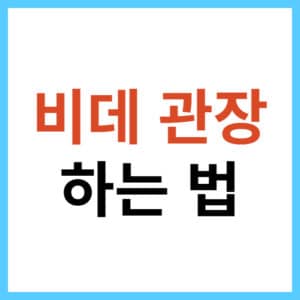 올바른 비데 사용법