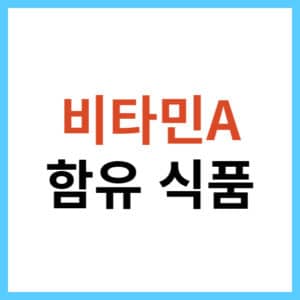 비타민a가 풍부한 음식