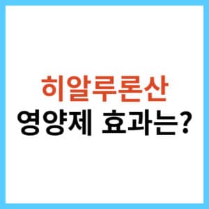 히알루론산 영양제 추천