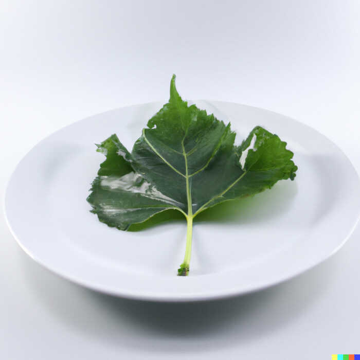 뽕나무 잎 효능 5가지, 모르면 나만 손해 - 오늘의 건강 정보