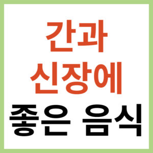 신장과 간에 좋은 음식