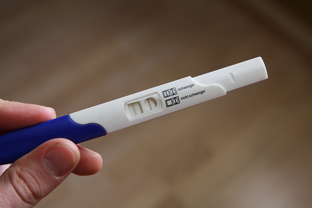 임신 테스트기 정확도