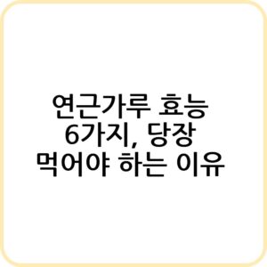 연근가루 효능 알아보기