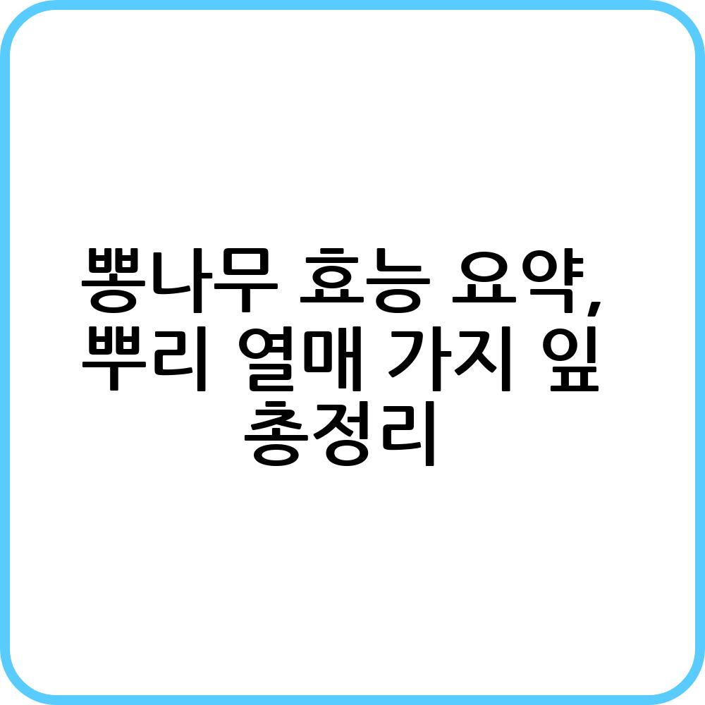 뽕나무 효능 요약, 뿌리 열매 가지 잎 총정리 - 오늘의 건강 정보