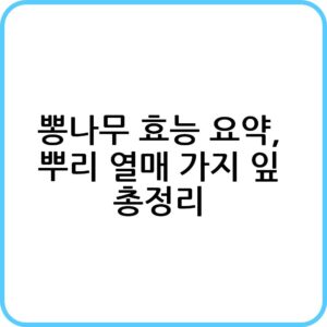 뽕나무 효능 알아보기