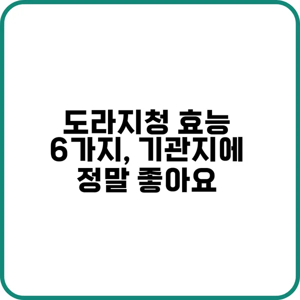 도라지청 효능과 부작용 먹는 법