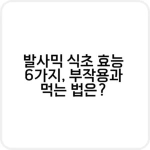 발사믹 식초 효능