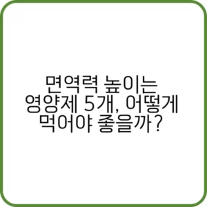 면역력 높이는 영양제 종류와 복용법