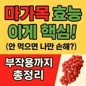 마가목 효능과 부작용을 강조한 썸네일 이미지, 클릭을 유도하는 강조 문구 포함