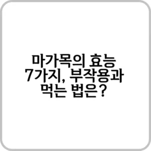 마가목의 효능은?