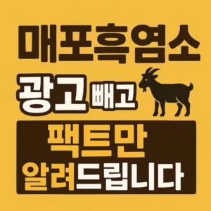 매포흑염소, 광고 없이 팩트만 알려주는 썸네일 이미지 – 검은색 흑염소 그림과 강조된 한글 텍스트 디자인