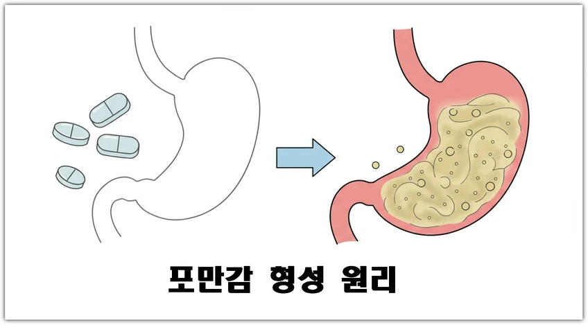 알긴산과 글루코만난 성분이 위에서 물을 흡수해 젤 형태로 팽창하며 포만감을 형성하는 원리를 보여주는 인포그래픽 이미지