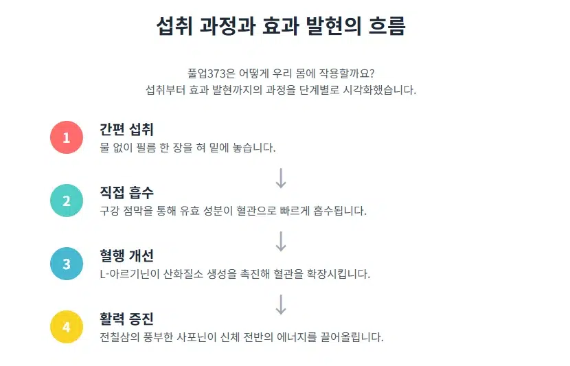 풀업373의 섭취부터 효과 발현까지의 4단계 과정을 설명하는 순서도 인포그래픽. 간편 섭취, 직접 흡수, 혈행 개선, 활력 증진 순서로 시각화되어 있습니다.