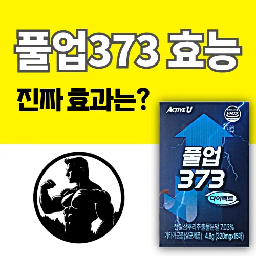 '풀업373 효능, 진짜 효과는?' 문구가 적힌 썸네일 이미지. 풀업373 다이어트 제품과 근육질 남성 아이콘이 있습니다.