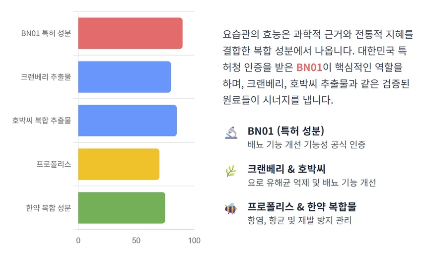 요습관 효능의 근원을 설명하는 핵심 성분 분석 인포그래픽. BN01, 크랜베리, 호박씨 등 주요 성분의 효능 기여도를 보여주는 차트와 각 성분의 역할이 설명되어 있습니다.
