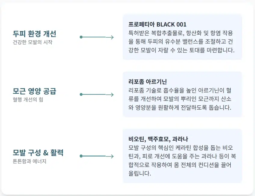 프로페그라의 세 가지 핵심 성분별 작용 원리를 설명하는 인포그래픽. 두피 환경 개선, 모근 영양 공급, 모발 구성 및 활력에 대한 각 성분(프로페티아 BLACK 001, 리포좀 아르기닌, 비오틴)의 역할을 도식화하여 보여줍니다.