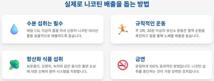 '실제로 니코틴 배출을 돕는 방법'이라는 제목 아래, 수분 섭취, 규칙적인 운동, 항산화 식품 섭취, 금연이라는 4가지 방법을 아이콘과 함께 설명하는 인포그래픽