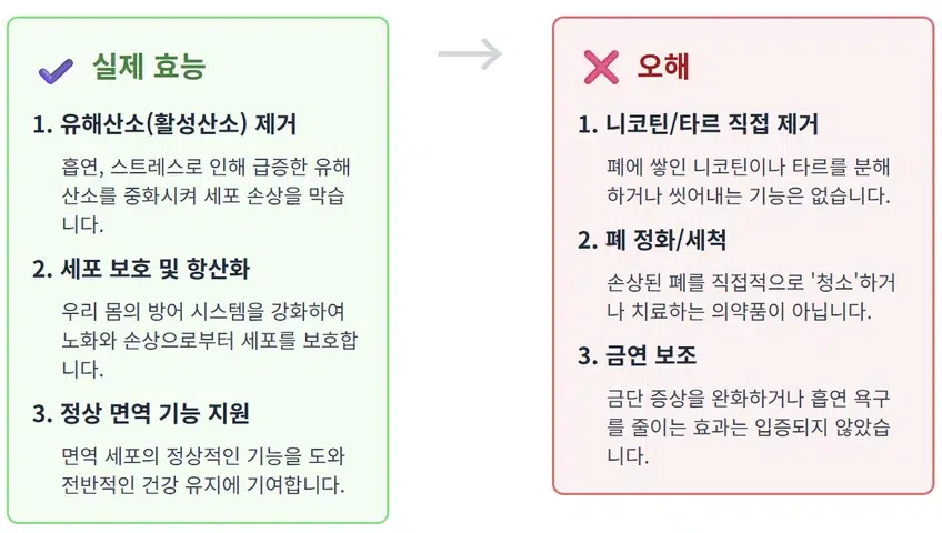 셀렌톡 효능의 진실을 다루는 팩트체크 인포그래픽. 실제 효능(유해산소 제거, 세포 보호, 면역 지원)과 오해(니코틴 직접 제거, 폐 정화)를 비교하여 설명하는 이미지.