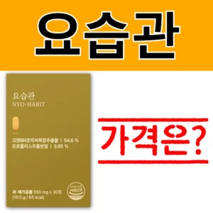 요습관 가격에 대한 궁금증을 나타내는 썸네일 이미지. 제품 패키지와 함께 '가격은?'이라는 텍스트를 강조하여 가격 정보에 대한 콘텐츠임을 명확하게 보여줍니다.