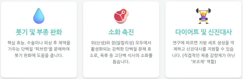 마이디데이 브로멜라인 효능 11가지, 직접 논문으로 비교했어요! 마이디데이 브로멜라인의 3가지 핵심 효능을 요약한 인포그래픽: 붓기 및 부종 완화, 소화 촉진, 다이어트 및 신진대사.